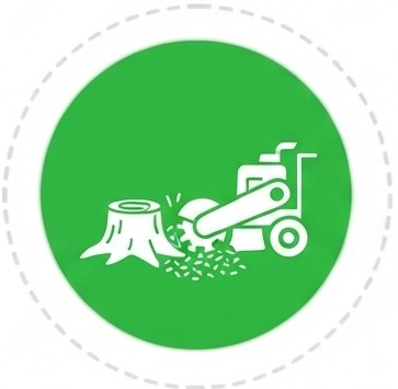 Tree removal Pine Bluff AR