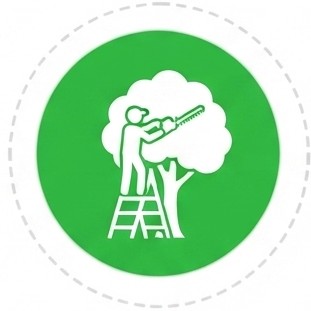 Demolition contractors Warren AR