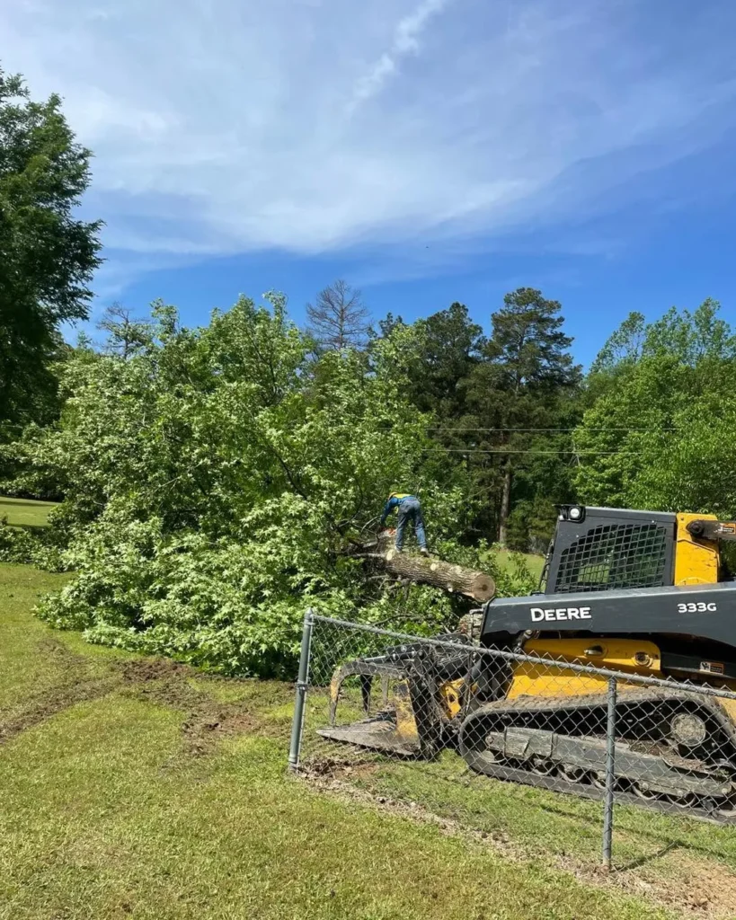 Tree service Wilmar AR