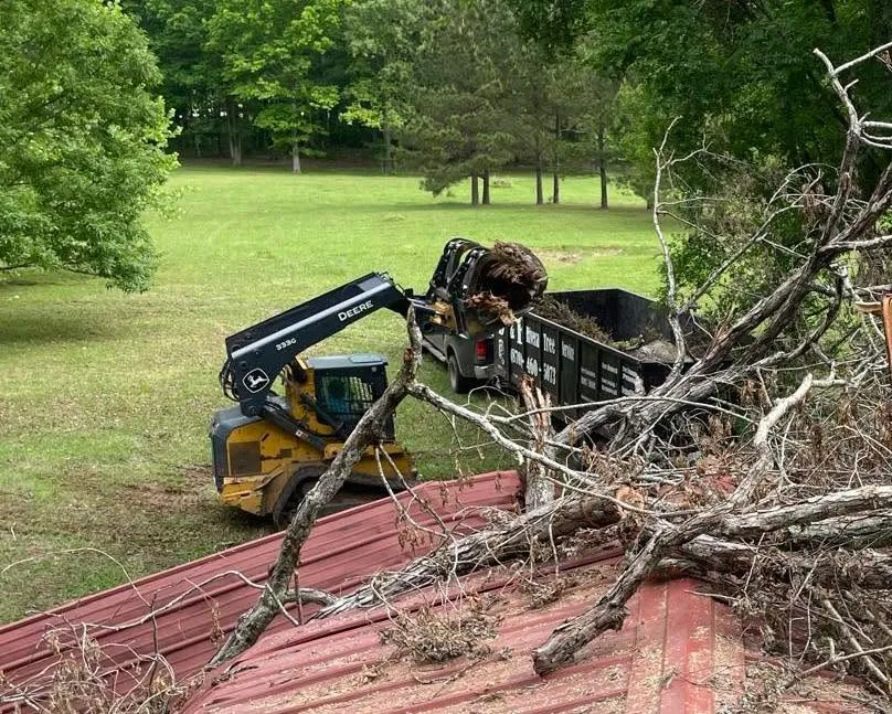 Professional Affordable Local Tree Cutting in Drew County, Arkansas