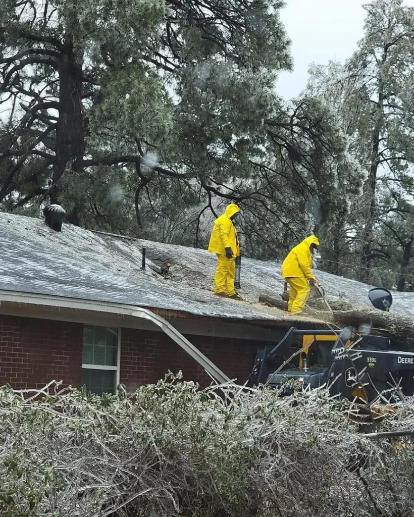 Professional, Affordable, Reliable Tree Removal in Drew County, Arkansas