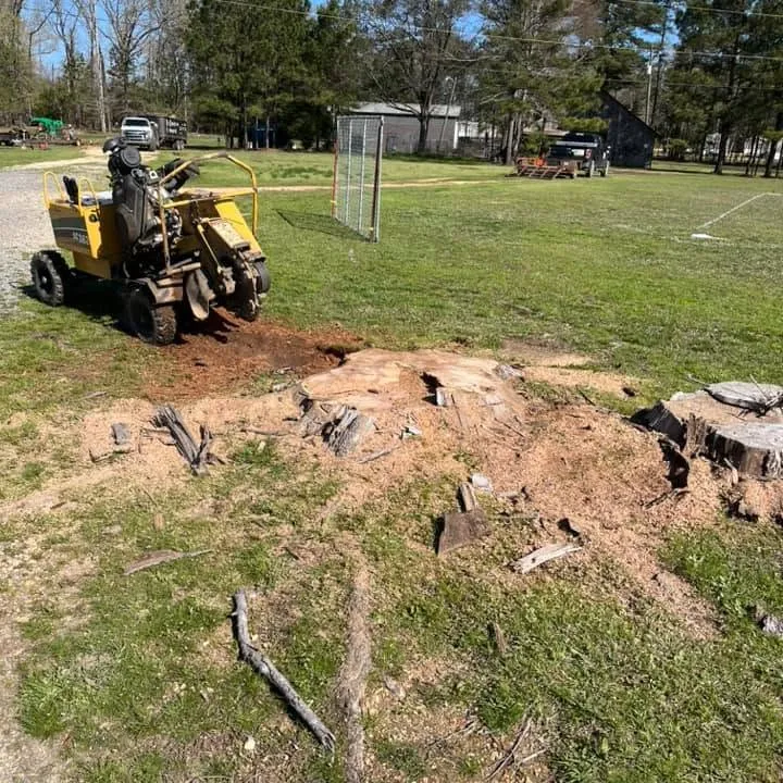 Reliable Stump Removal & Grinding in Drew County, Arkansas