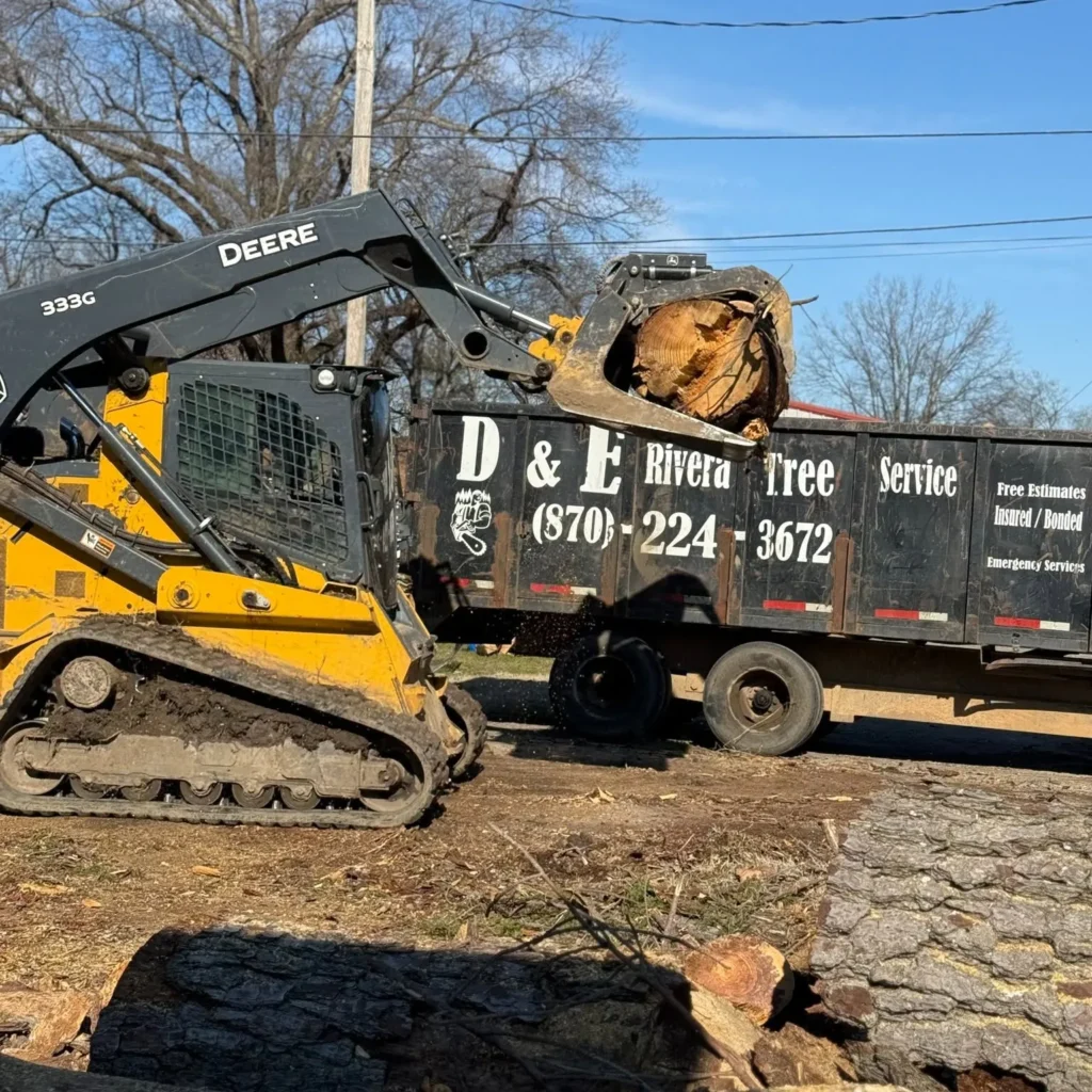 Local Tree Removal in Drew County, Arkansas