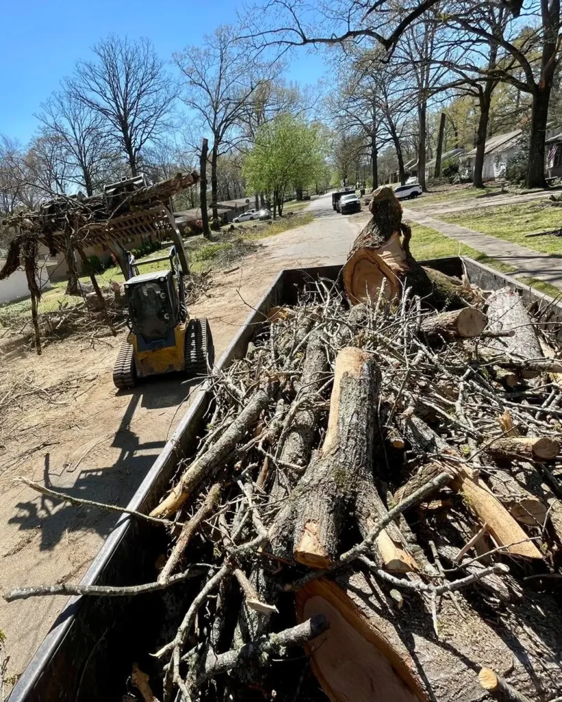 Affordable Tree service in Drew County, Arkansas