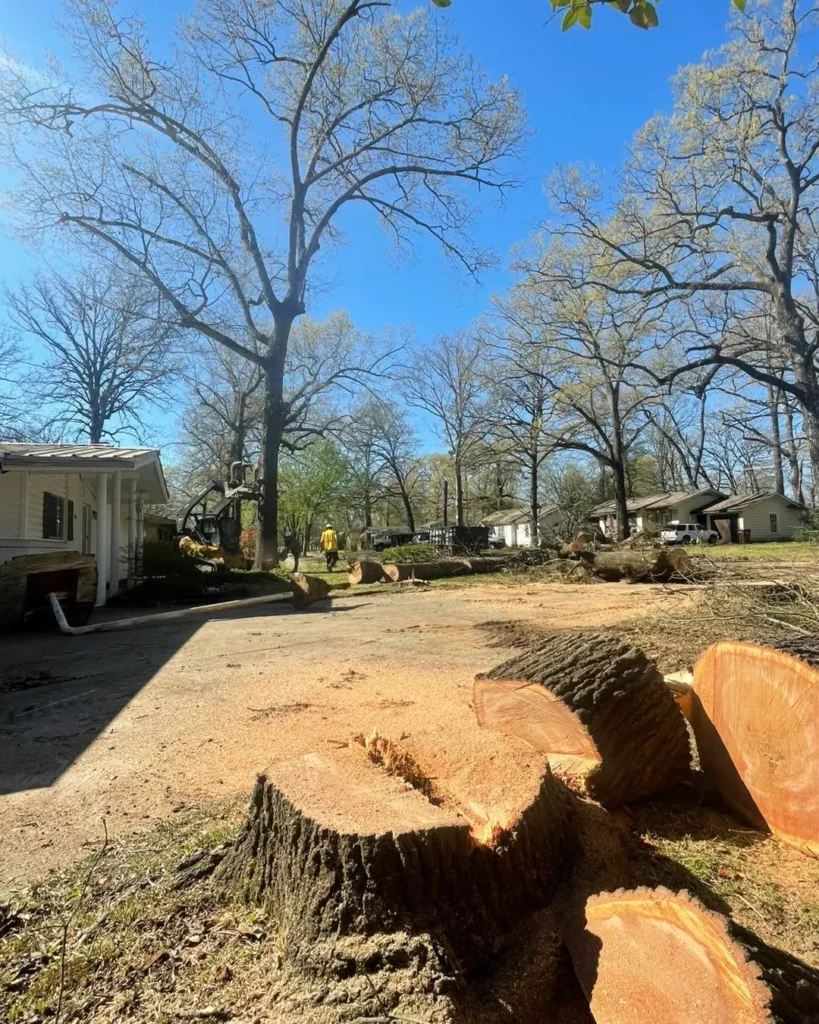 Affordable Stump Removal in Drew County, Arkansas