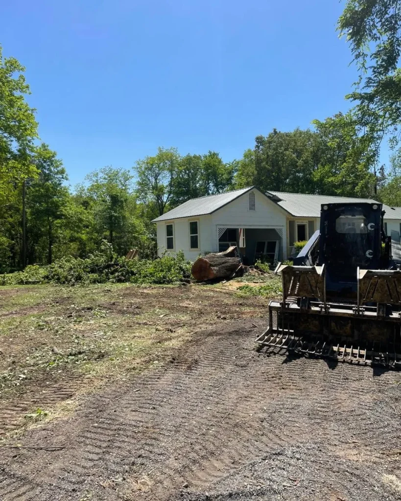 Affordable Local Top Rated Tree Removal in Drew County, Arkansas