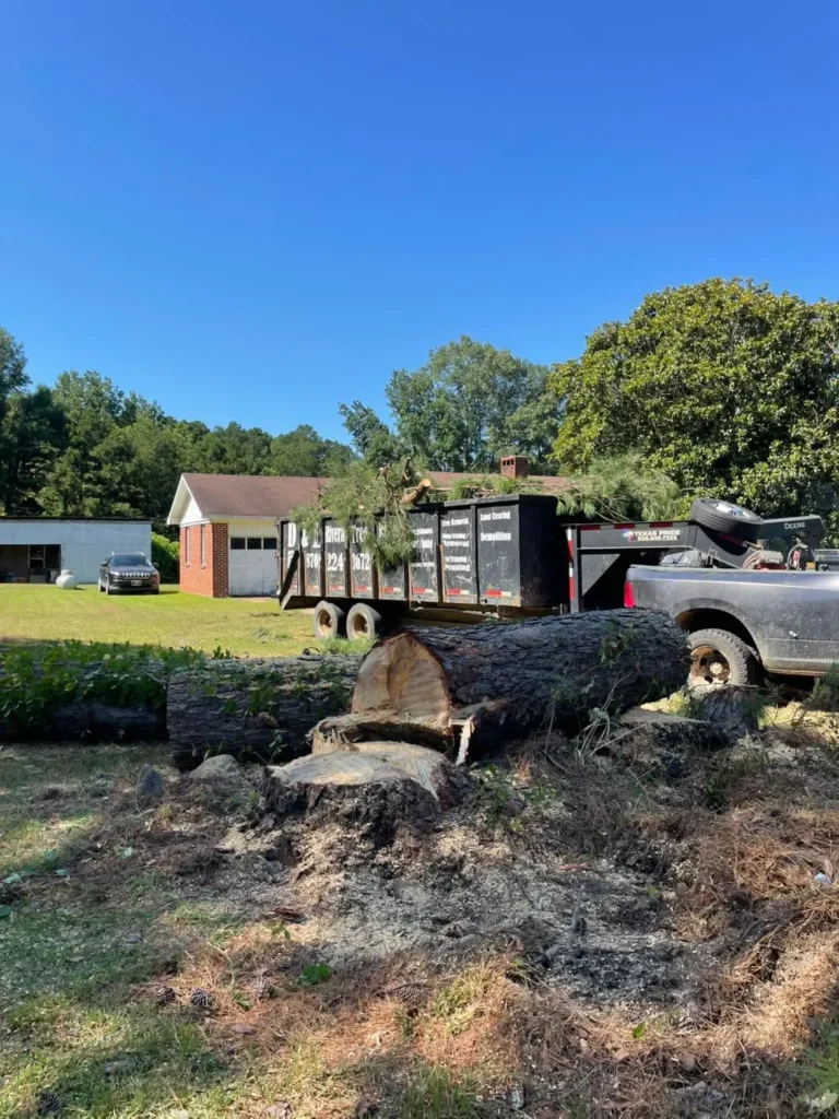 Affordable Local Top Rated Tree Removal in Drew County, Arkansas