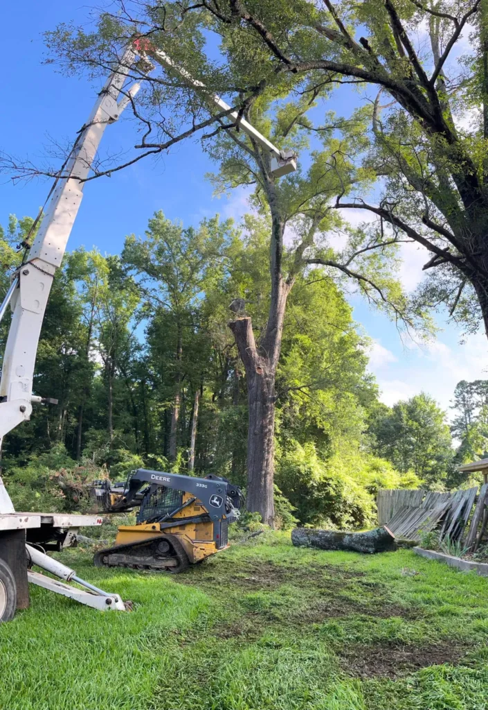 Professional, Affordable, Reliable Tree Removal in Drew County, Arkansas